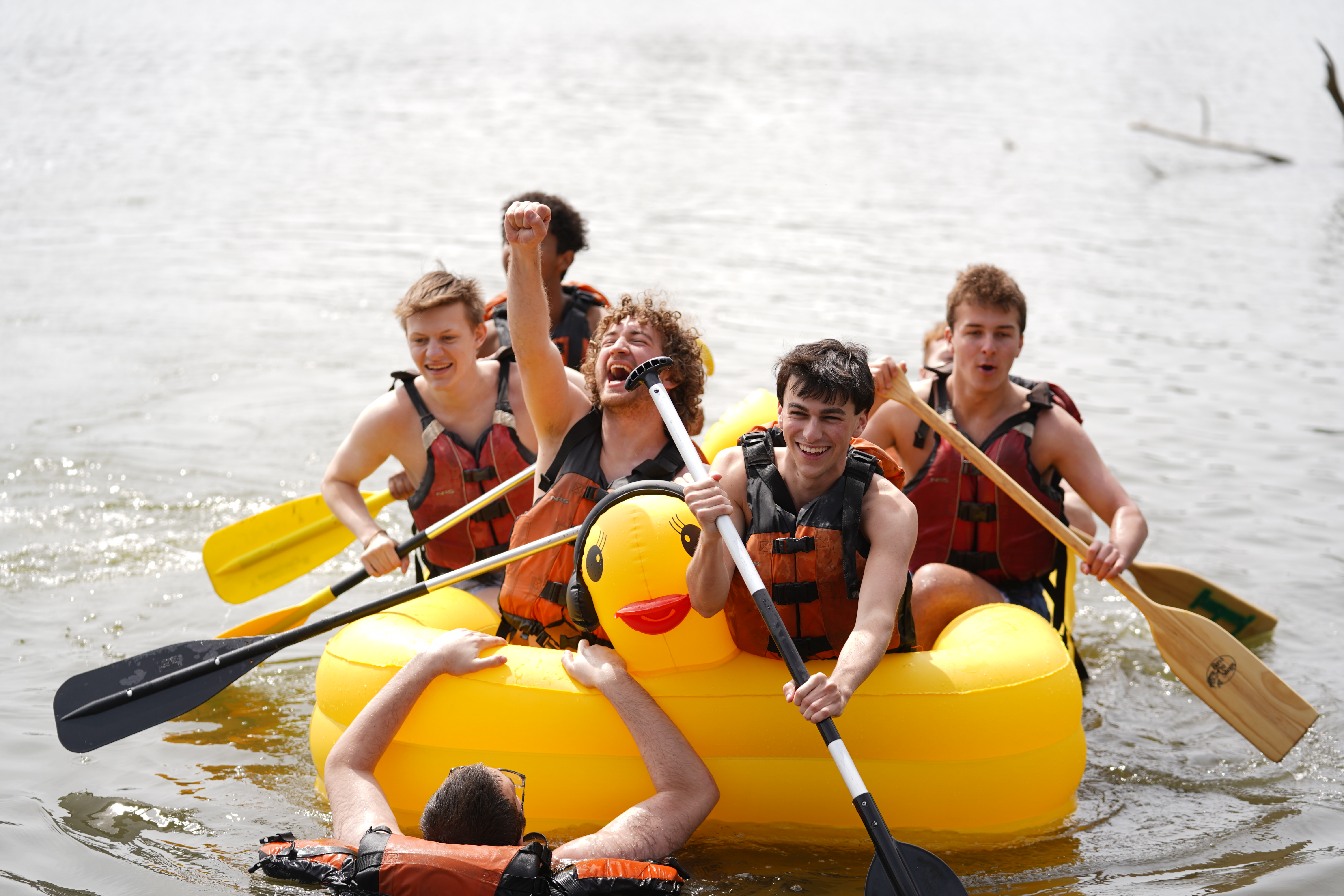 Regatta photo 3